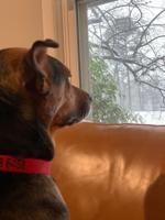 snow43.jpeg