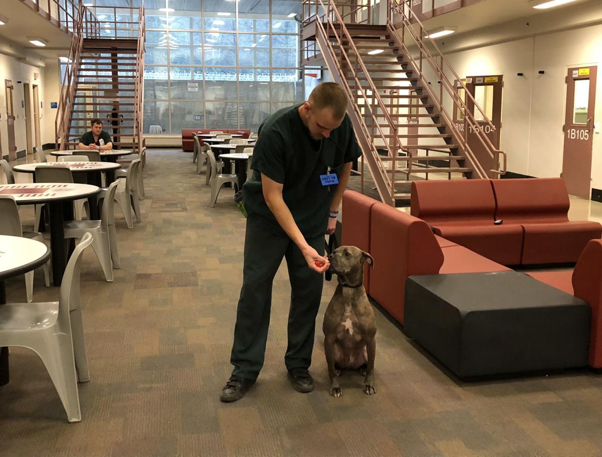 inmate pens book on what he’s learned from the county’s Jail