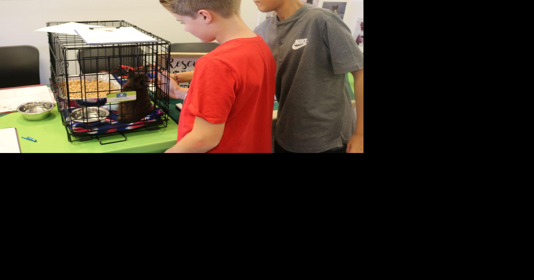 PHOTOS Animal Shelter Free Adoption Day Multimedia