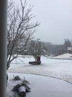snow54.jpeg