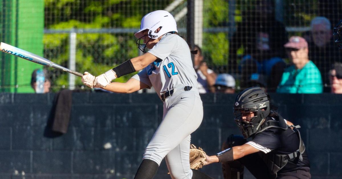 Seckinger tightens region softball standings with win at Dacula
