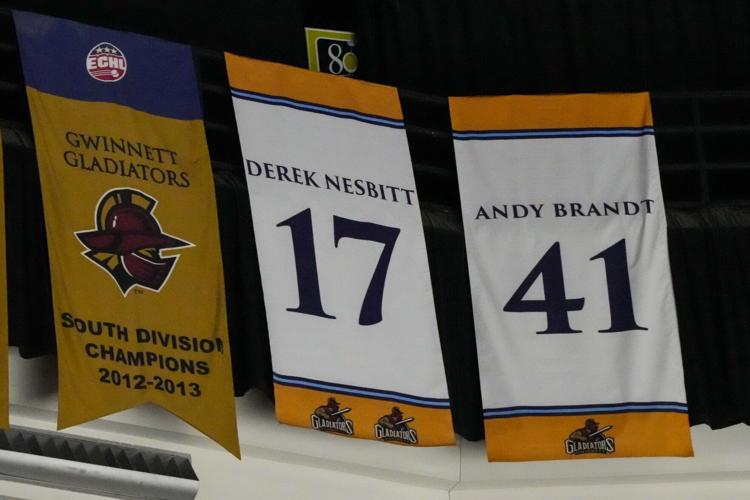 Atlanta Gladiators names hockey veteran Derek Nesbitt as head coach – WABE