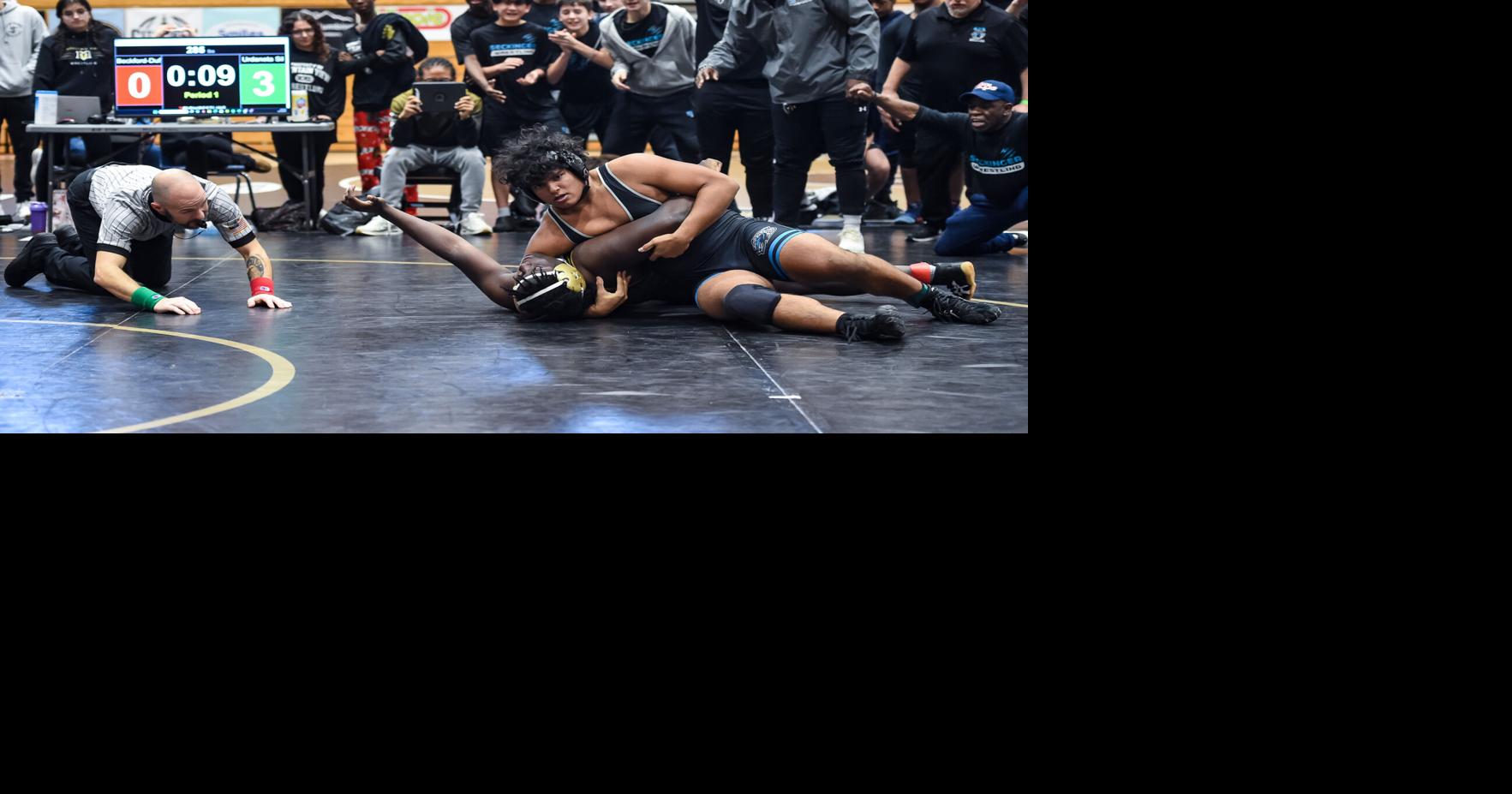 Seckinger, Lanier Wrestlers Lead All-Region 7-AAAAA Honors