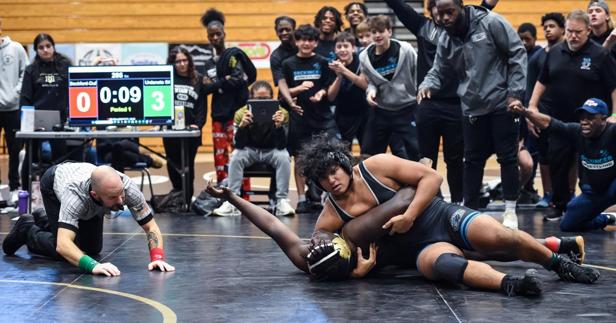 Seckinger, Lanier Wrestlers Lead All-Region 7-AAAAA Honors