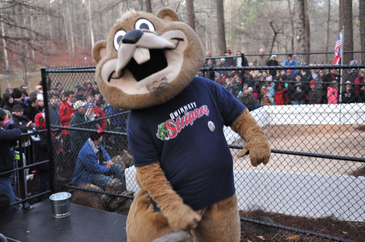 former groundhog, Gen. Beauregard Lee, sees shadow at new