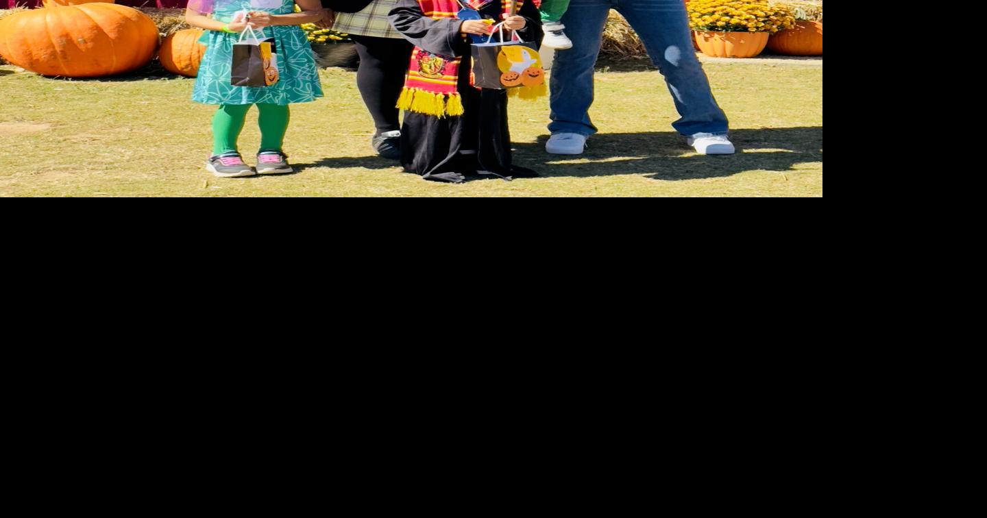 PHOTOS Scenes from the 2024 Snellville Fall Festival