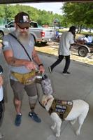 Service dog plays key role in Georgia veteran's recovery