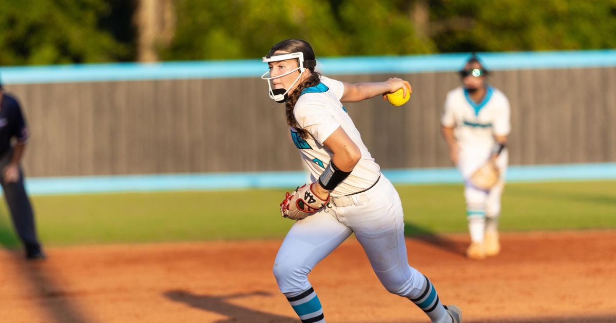 SOFTBALL ROUNDUP: Annmarie Nagy pitches Seckinger past Mill Creek