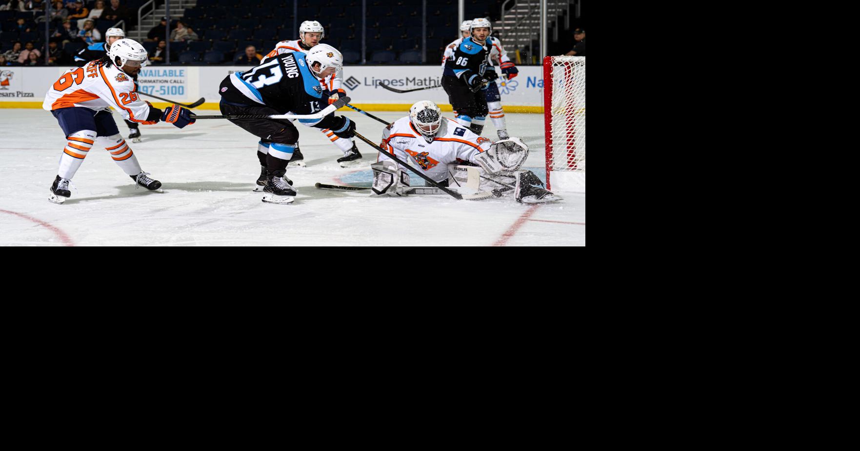Atlanta Gladiators Defeat Swamp Rabbits in Overtime | Sports ...