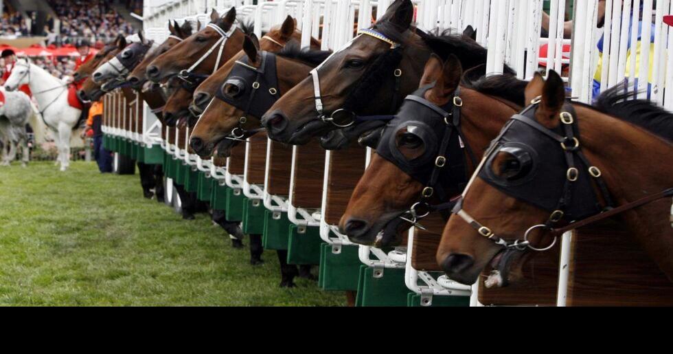 Georgia Senate Kills Horse Racing Measure News Gwinnettdailypost Com