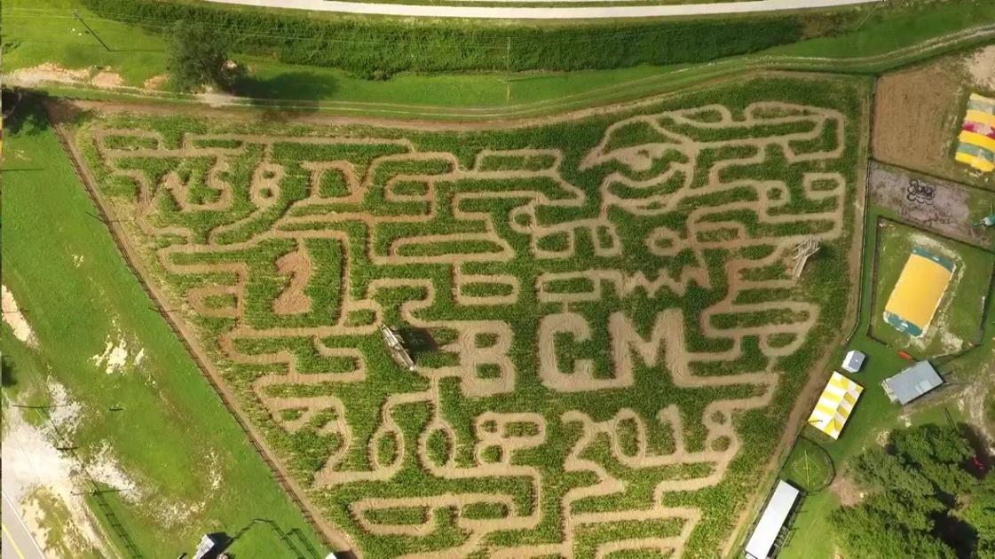 Buford Corn Maze Opens For 10th Season News Gwinnettdailypost Com