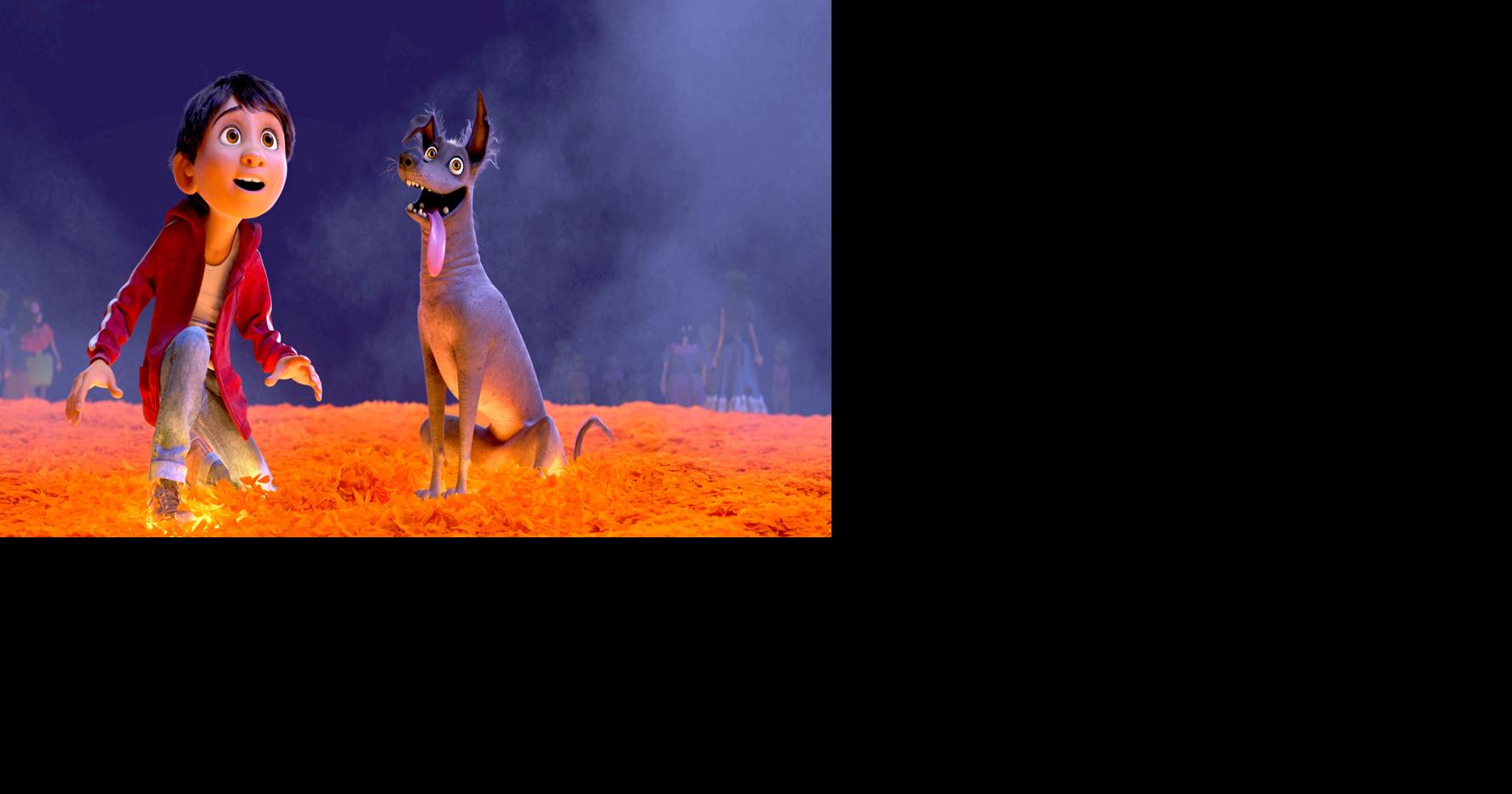 MOVIE REVIEW: ‘Coco’ brings Land of the Dead to life | Movies ...