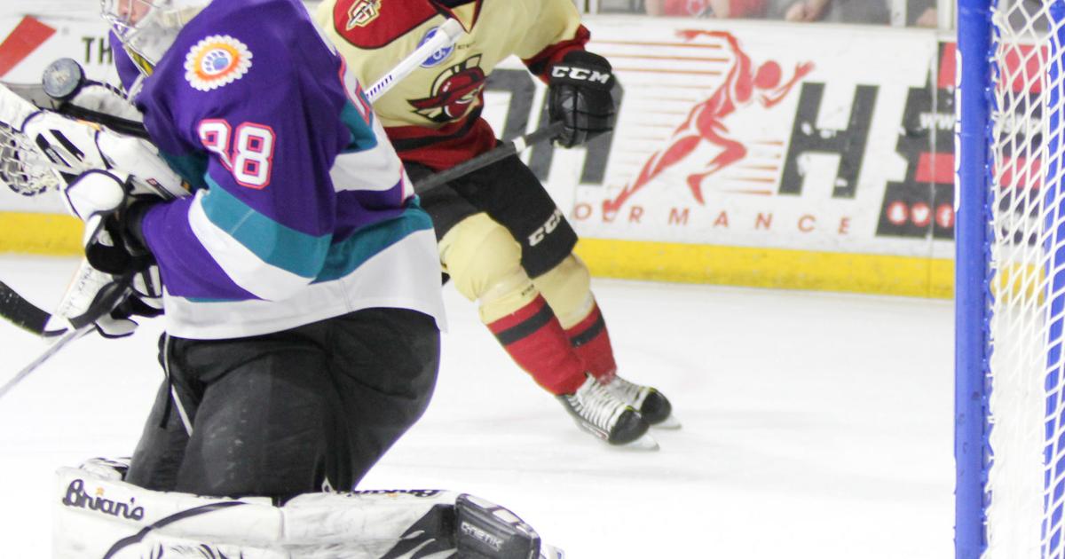Hugo Roy Atlanta Gladiators trade Hugo Roy to Kansas City Mavericks | Sports ...