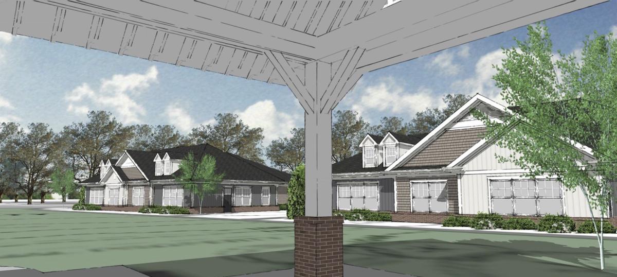 Lawrenceville a hotbed for economic development right now  News