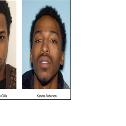 Suspects in fatal shooting at Gwinnett gas station arrested in Illinois ...