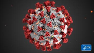 Coronavirus-image.jpg