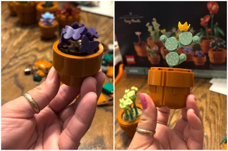 ‘Here's How Long It Took Me To Build This 758-Piece Tiny Plant ...