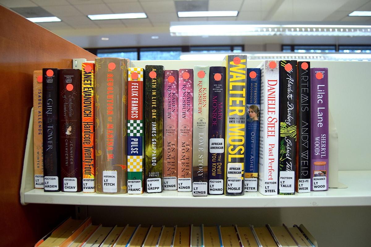 Library books file photo