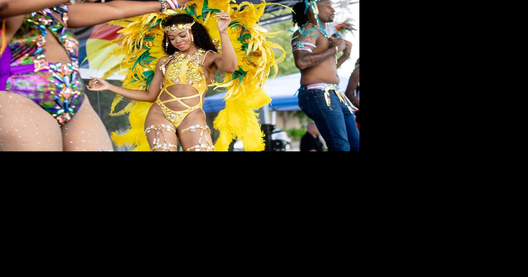 Multicultural Festival to celebrate diversity
