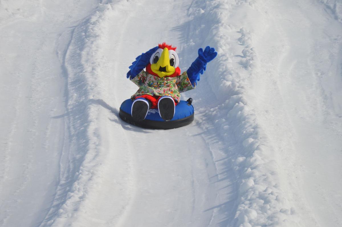 Magical Nights of Lights returns for 27th year of holiday tradition ...