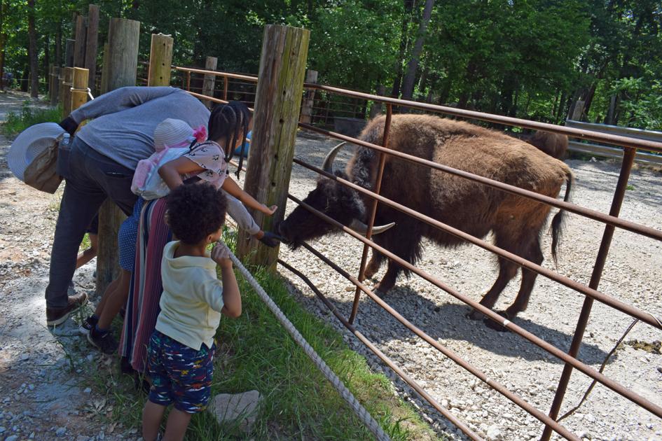 PHOTOS The Yellow River Wildlife Sanctuary opens its doors