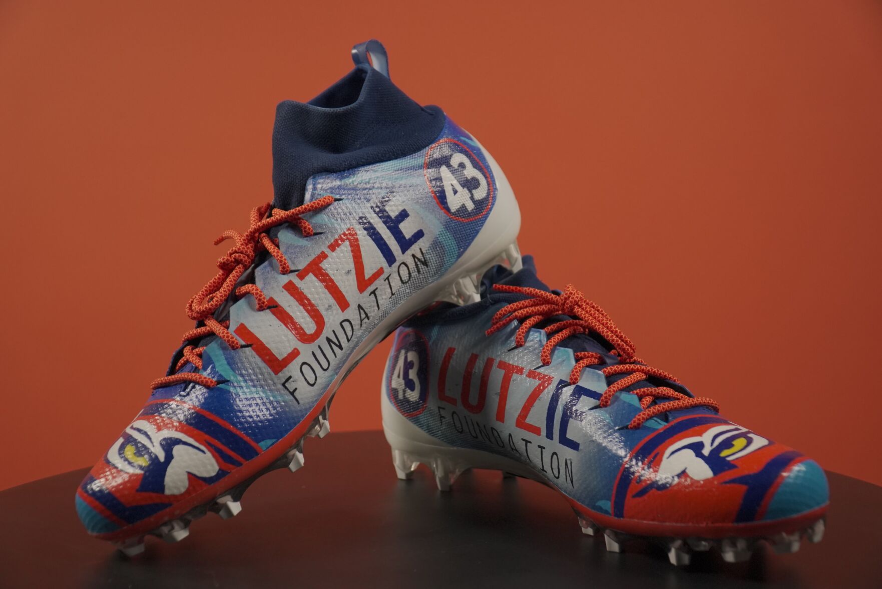 ontario puma foundation website