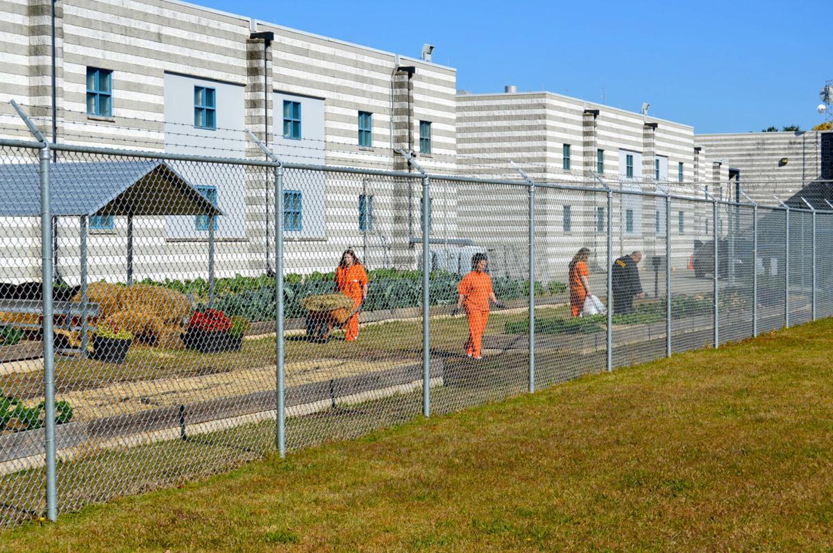 County Jail garden program gives inmates new outlook