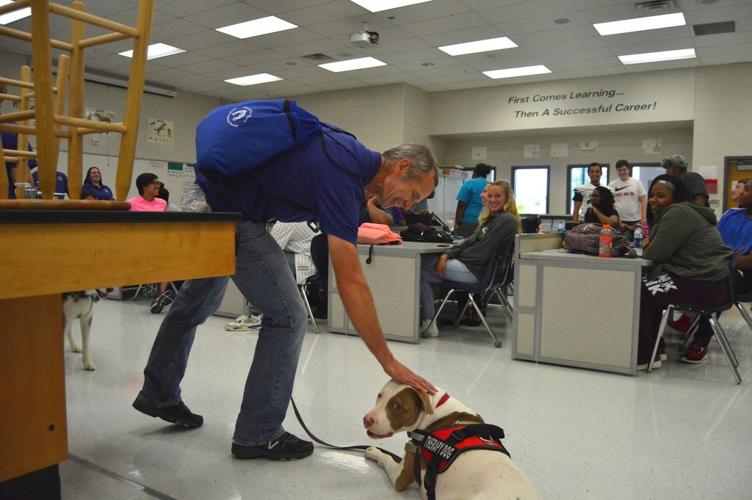 Therapy dogs visit Grayson Tech students | News | gwinnettdailypost.com