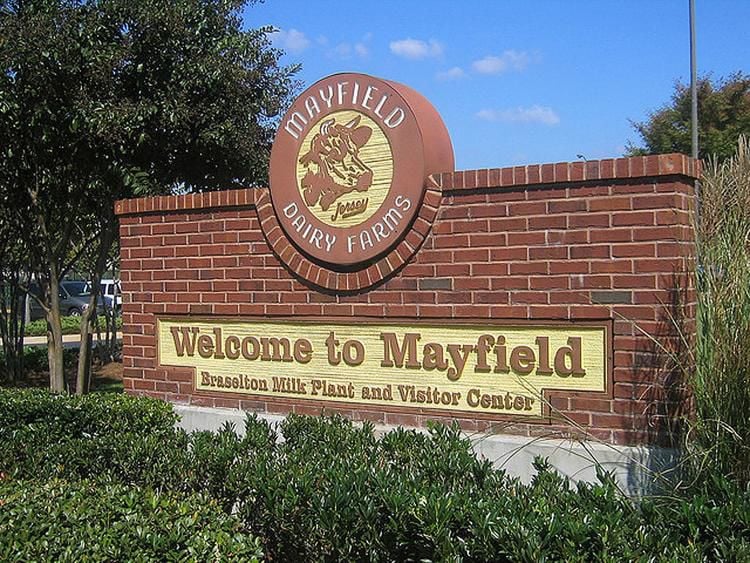 mayfield dairy braselton tours
