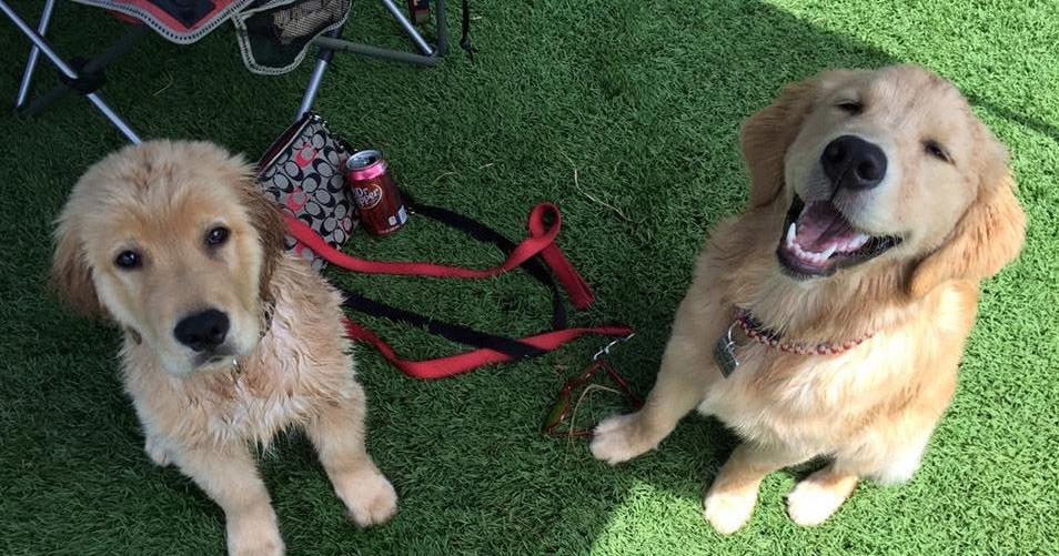 GET OUT THERE 10 Things To Do In Gwinnett This Weekend News get-out-there-10-things-to-do-in-gwinnett-this-weekend-news