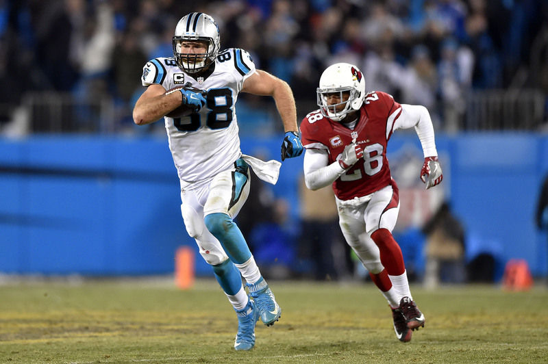 NFL: Arizona Cardinals at Carolina Panthers