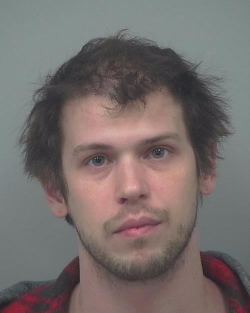 MICHAEL DAVID PAPP