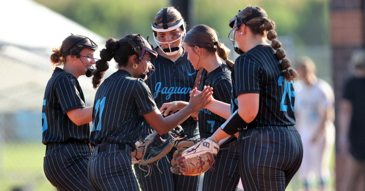 Seckinger softball's first-round playoff series headed to Game 3