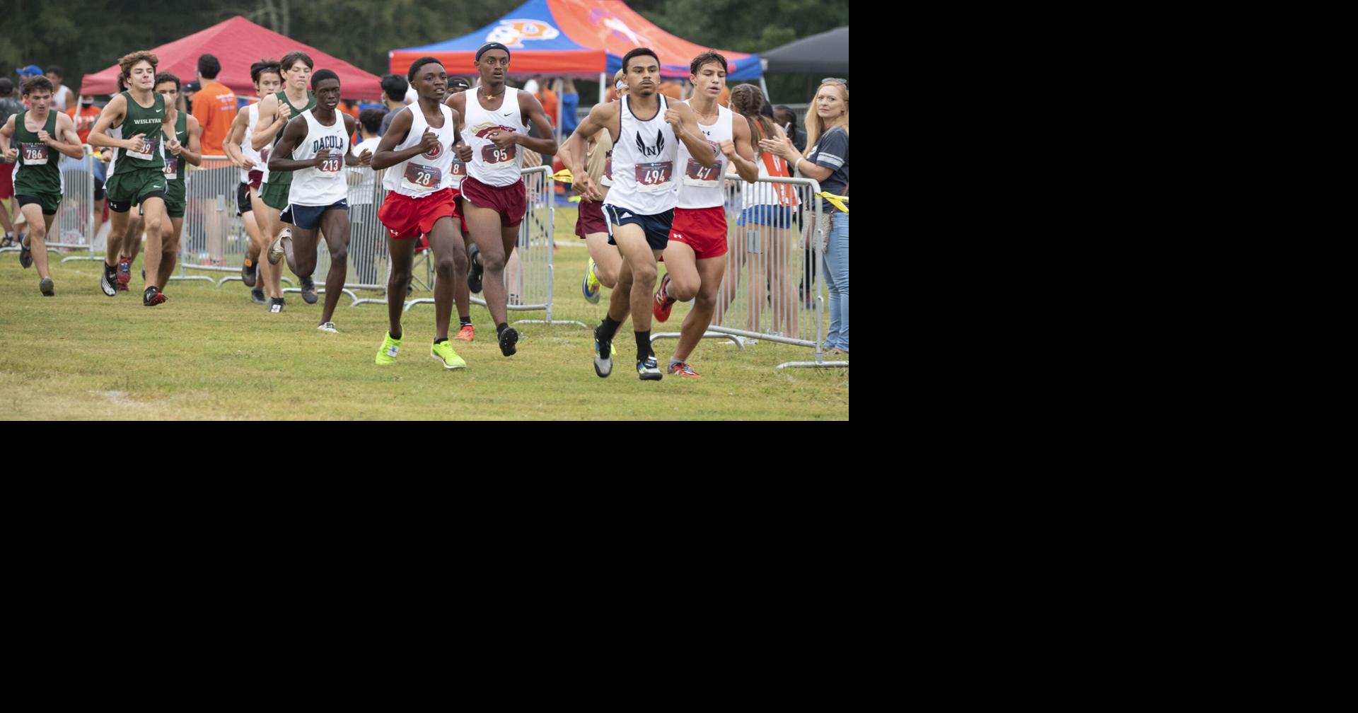 cross country teams put 122 runners on allregion teams