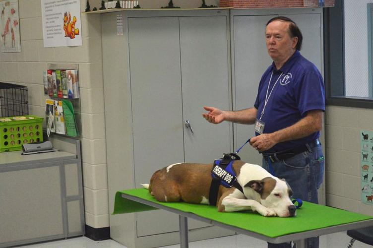 Therapy dogs visit Grayson Tech students | News | gwinnettdailypost.com