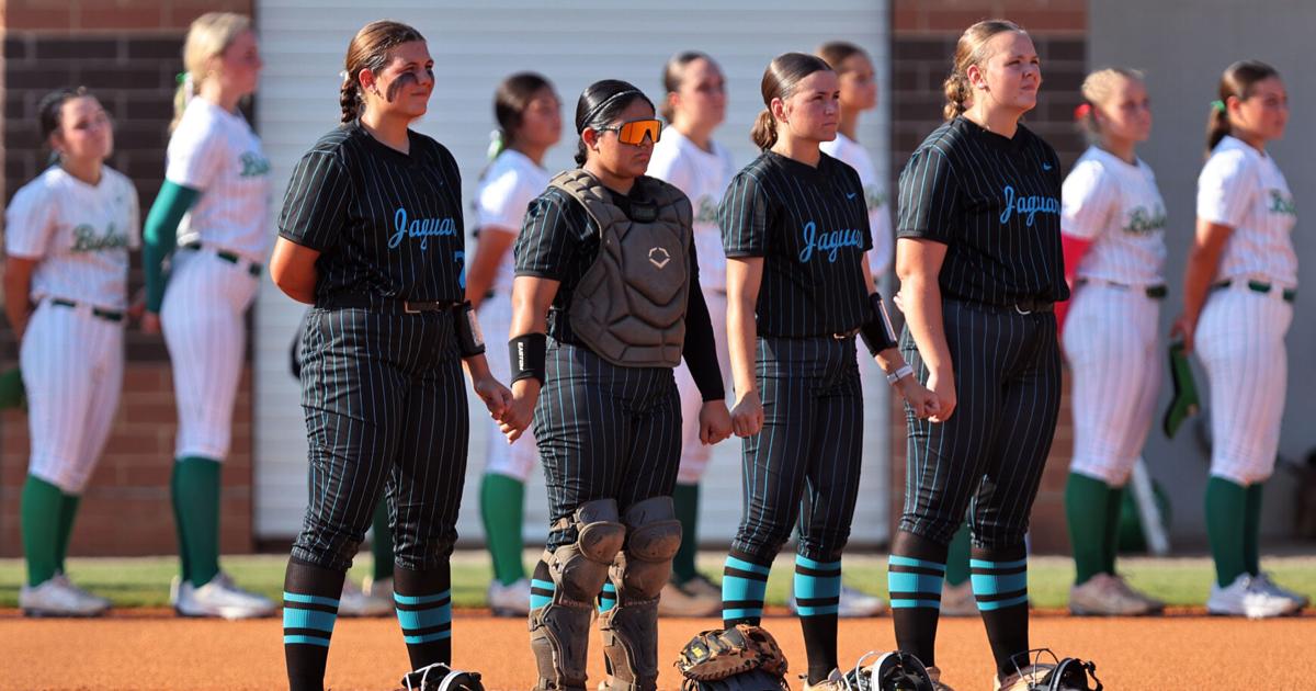 Seckinger softball returns to another Sweet 16