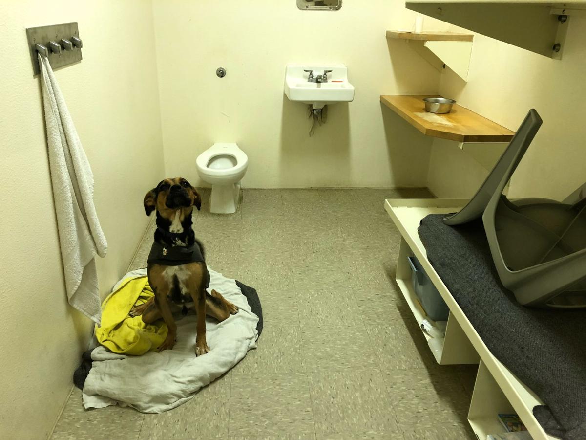 inmate pens book on what he’s learned from the county’s Jail