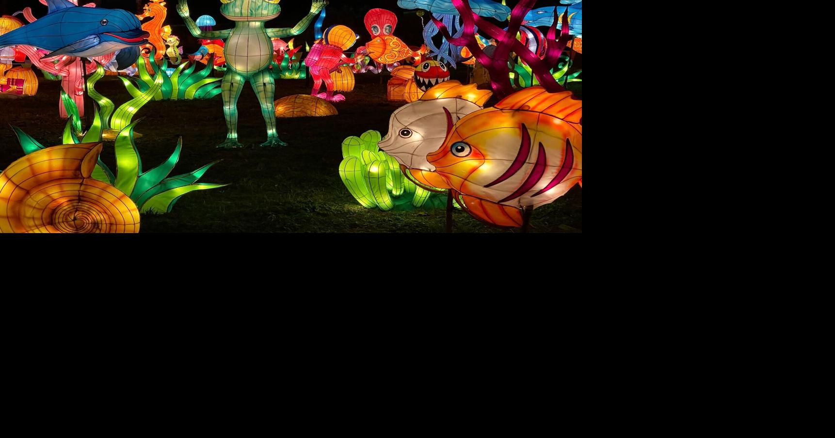 Enjoy the lights at the Illuminate Lantern Festival in Lawrenceville