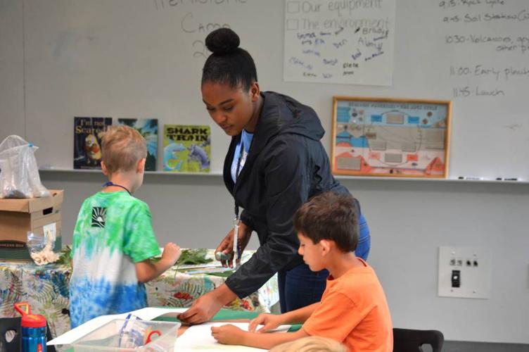 Varied experiences available at dozens of GEHC summer camps News