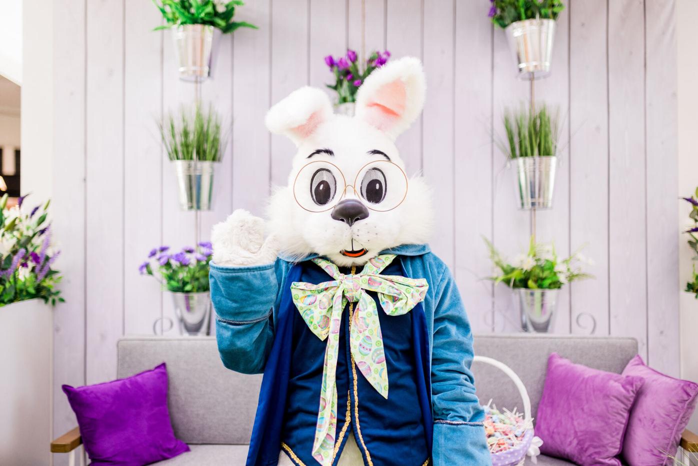 The Bunny Set To Arrive At Mall Of Georgia This Weekend