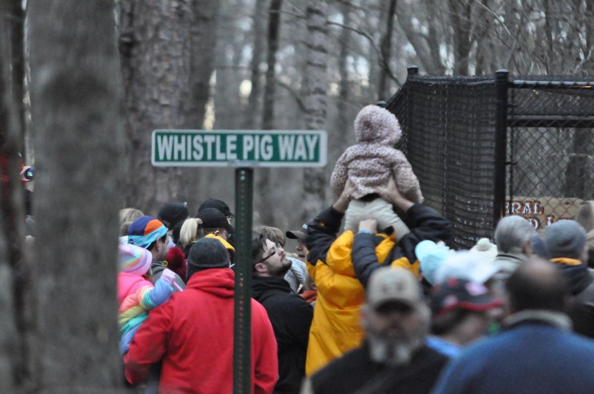 Gen. Beauregard Lee, former groundhog, sees shadow, predicts