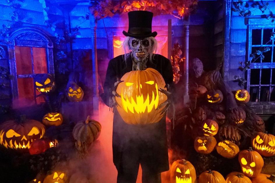 Netherworld giving put up-Xmas powering the scenes tours of 2020 haunts | Information