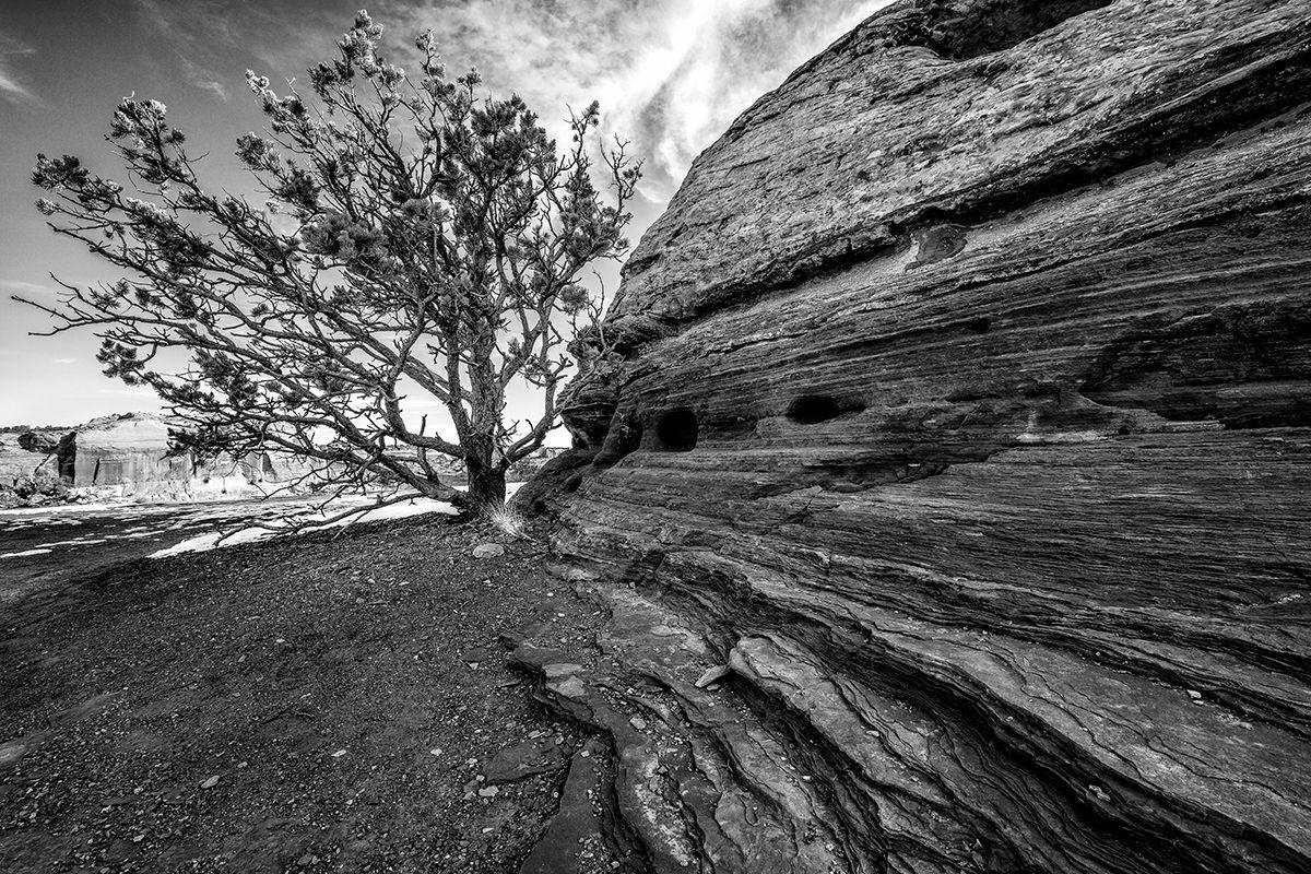 PHOTOS: Winners of Ansel Adams photography competition on exhibition at