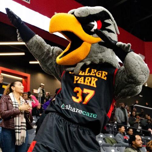 College Park Skyhawks, Atlanta Hawks' G League affiliate, unveil 2021
