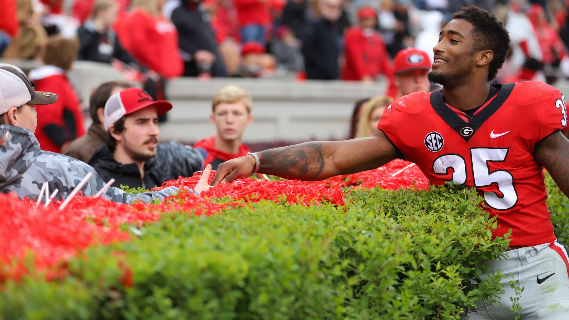 Georgia Begins Work on Sanford Stadium Hedges | Sports |  gwinnettdailypost.com