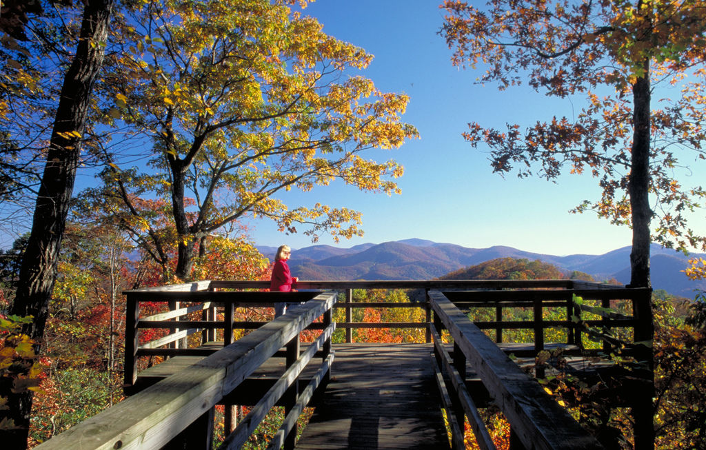 It's leaf watching time in the mountains State News