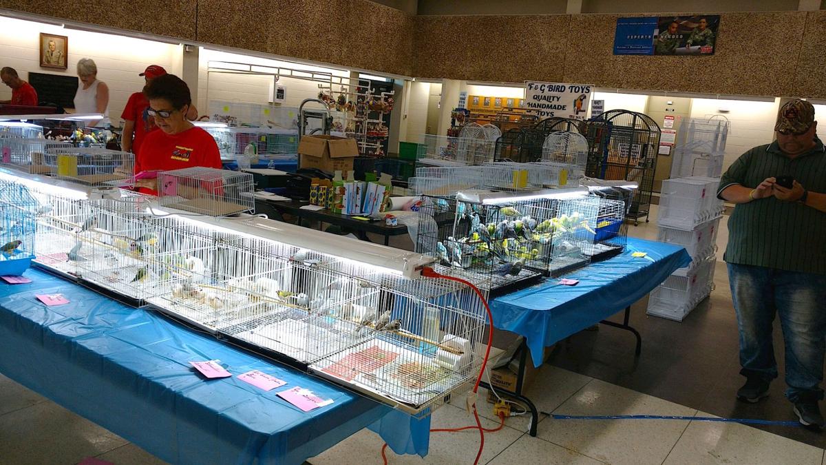 Southeast Exotic Bird Fair flies into this weekend News