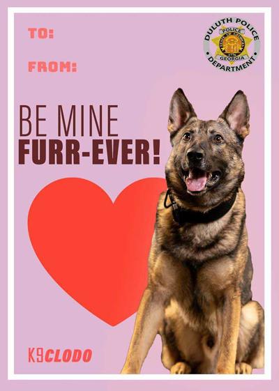 Duluth PD puts K9 officers on Valentine's Day cards | News ...