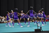 Gwinnett cheerleading teams shine at sectional, region competitions, Sports