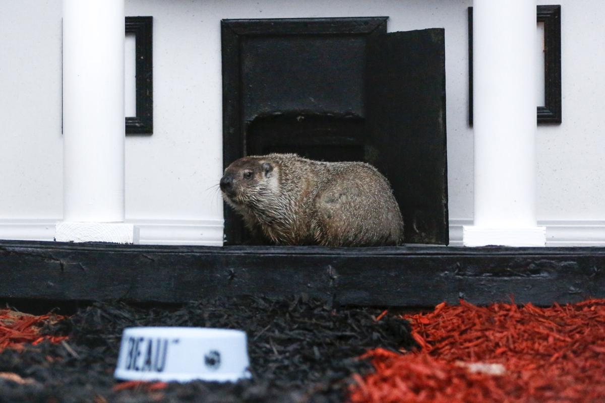 groundhog day yellow river ranch former yellow river ranch owner disappointed in groundhog day yellow river ranch former yellow river ranch owner disappointed in